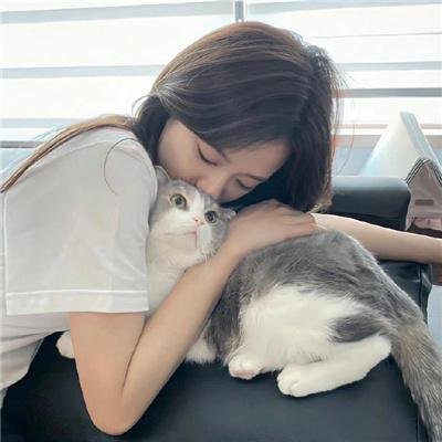 恋爱局中局